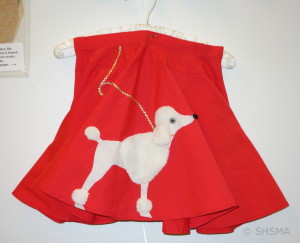 homemade poodle skirt