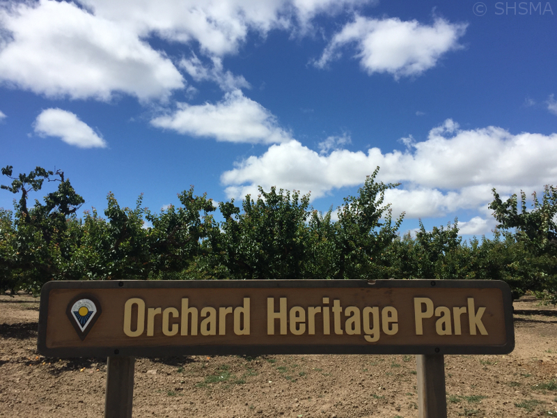 Orchard Park Sign, June 11, 2017