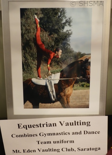 Equestrian Vaulting