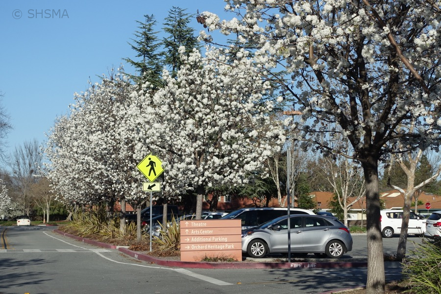 Entrance to the museum parking lot, March 1, 2016