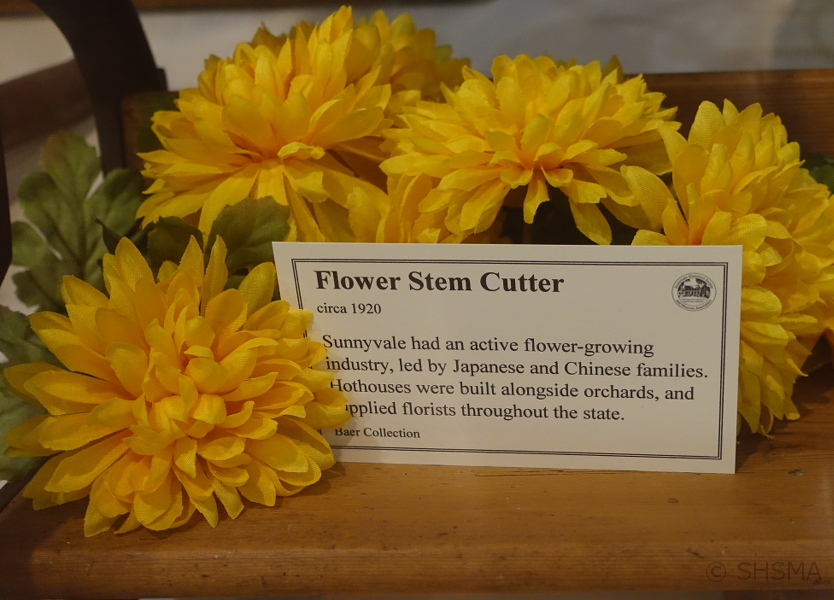 Flower Stem Cutter