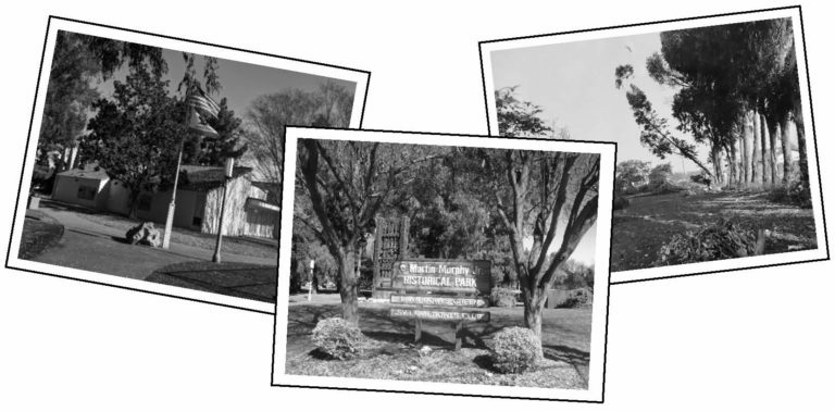 3 photos of the land and buildings on Murphy Park, Sunnyvale