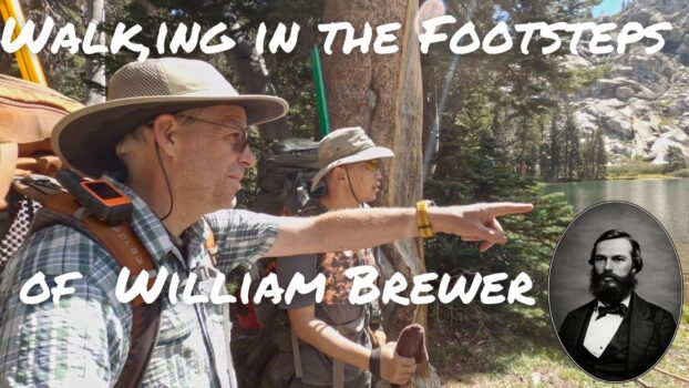 Video thumbnails - 19